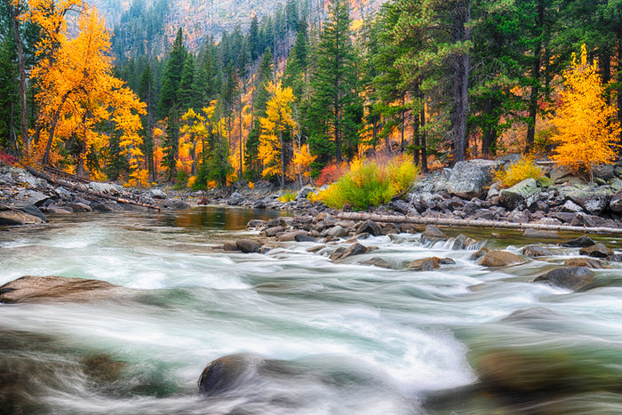 Forceful photograph of rushing waters of the Wenatchee river near Leavenworth WA in Autumn