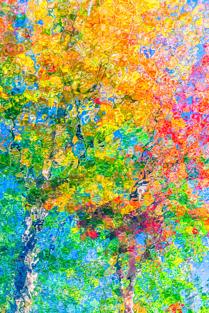 Abstract nature photograph that looks like an impressionist painting. Trees and fall colors reflected in water.