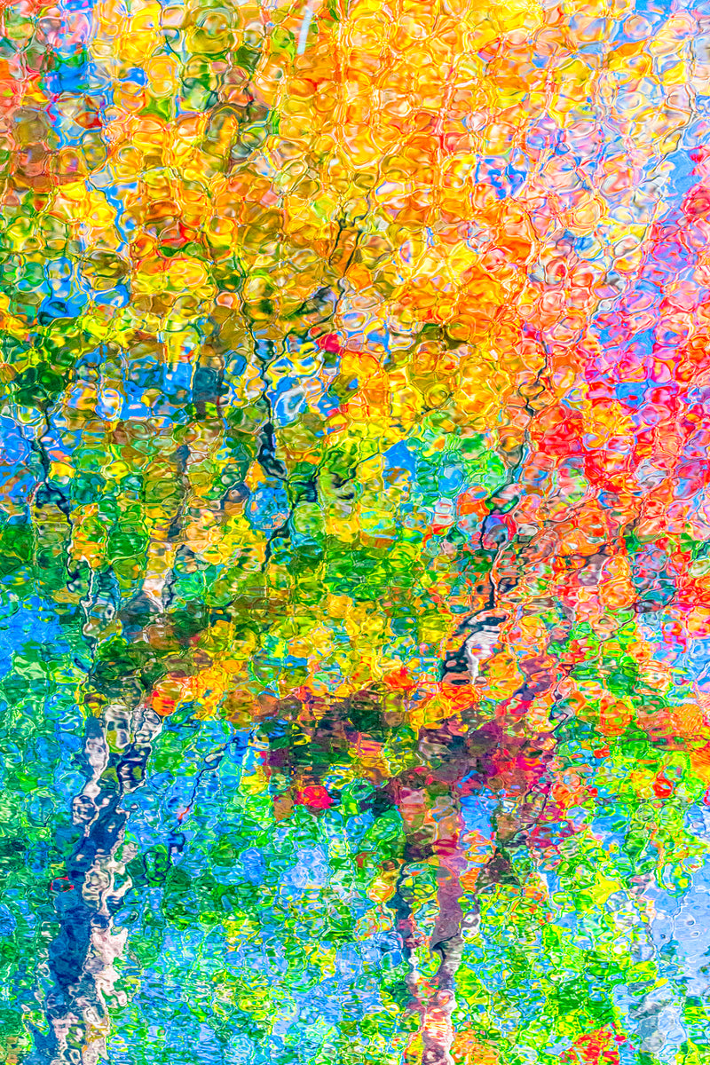 Abstract nature photograph that looks like an impressionist painting. Trees and fall colors reflected in water.