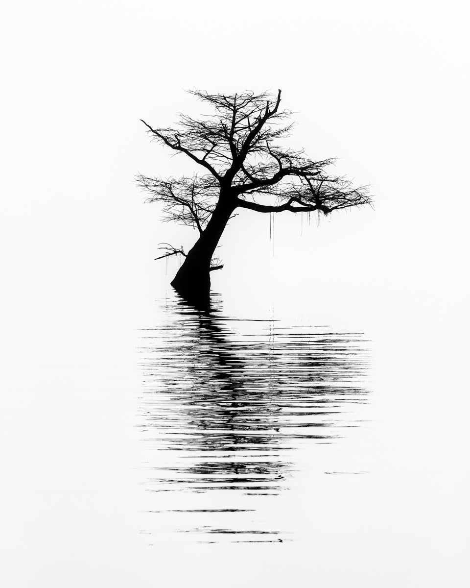 Ode to Solitude - Stunning Fine Art Nature Photography by