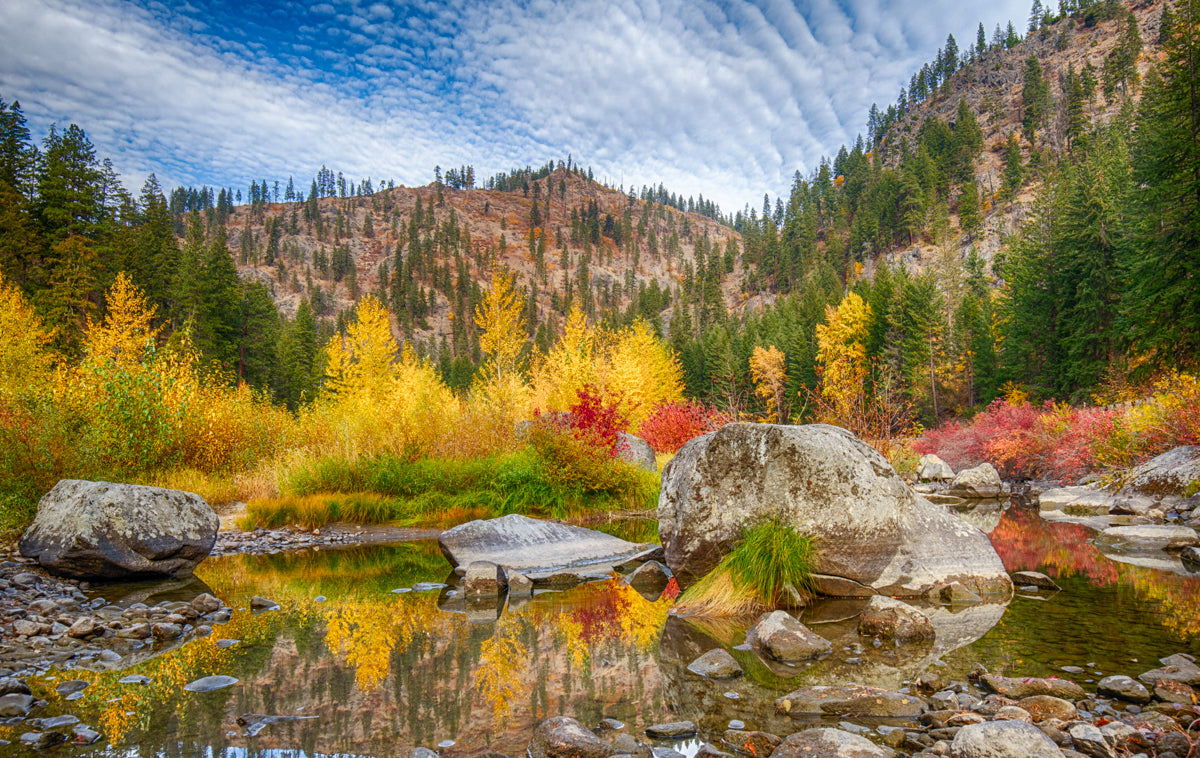 Nature photograph of spectacular fall colors from Tumwater Canyon near Leavenworth WA