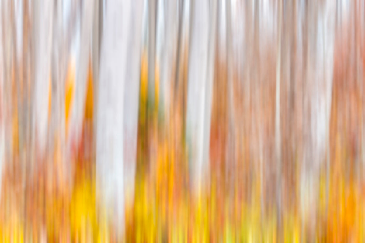 Abstract photograph of fall colors created using Intentional Camera Movement